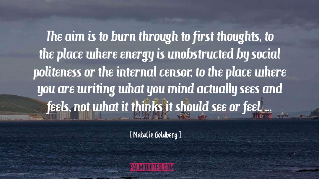 Natalie Goldberg Quotes: The aim is to burn