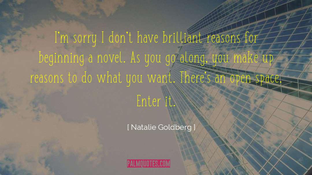 Natalie Goldberg Quotes: I'm sorry I don't have