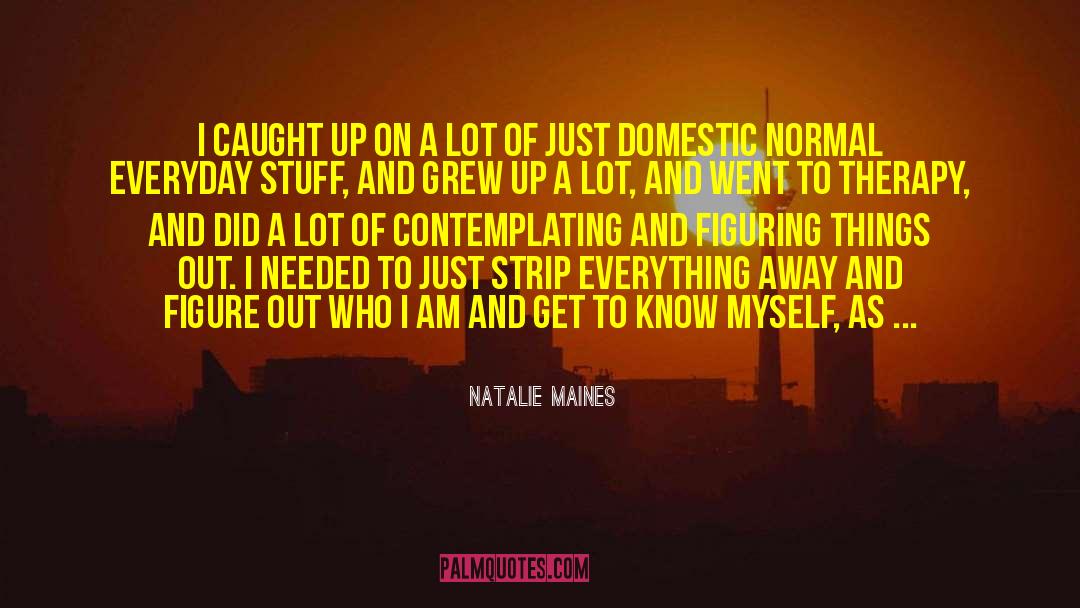 Natalie Maines Quotes: I caught up on a
