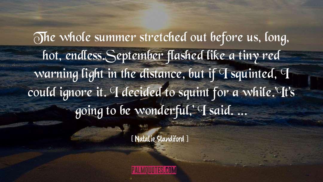 Natalie Standiford Quotes: The whole summer stretched out