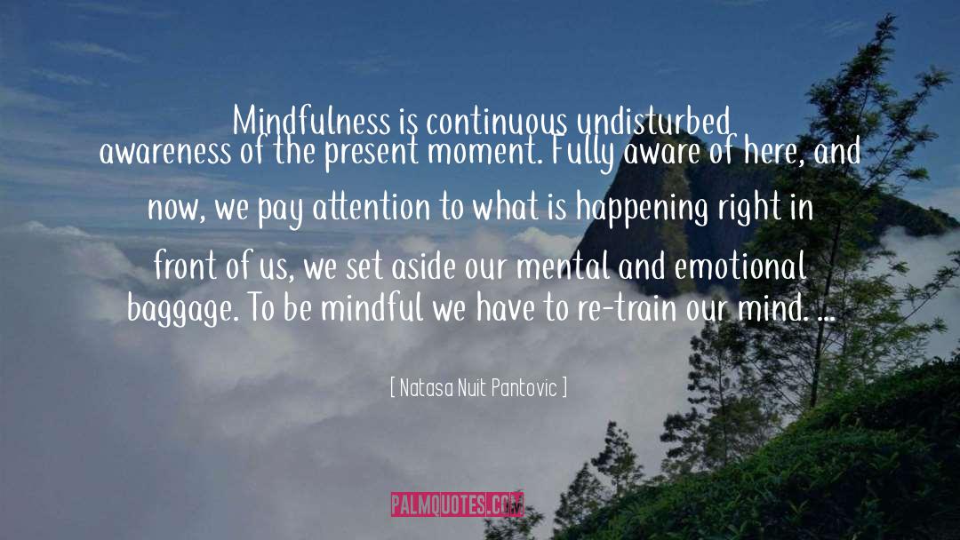 Natasa Nuit Pantovic Quotes: Mindfulness is continuous undisturbed awareness