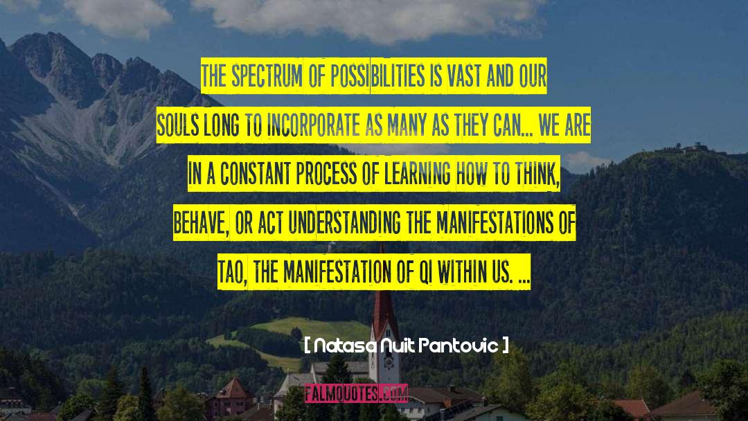 Natasa Nuit Pantovic Quotes: The spectrum of possibilities is