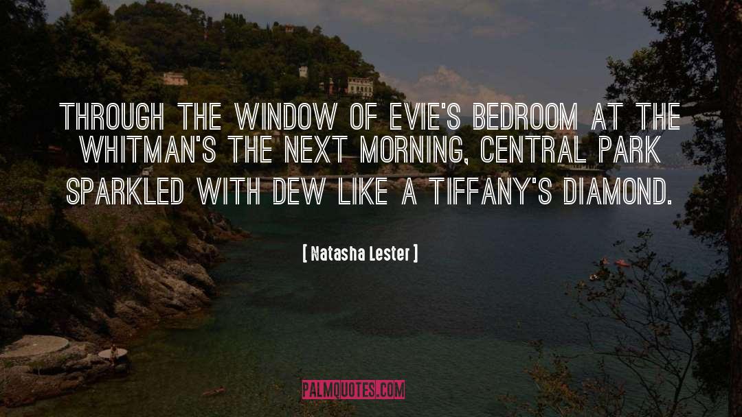 Natasha Lester Quotes: Through the window of Evie's