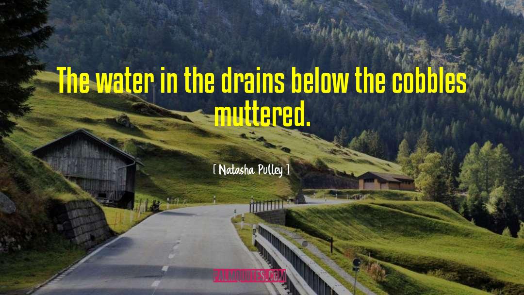 Natasha Pulley Quotes: The water in the drains
