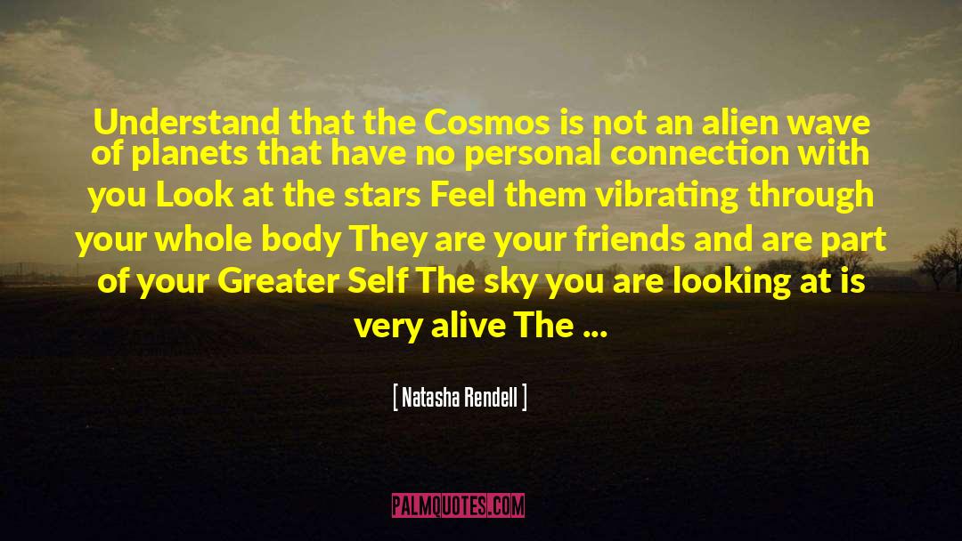 Natasha Rendell Quotes: Understand that the Cosmos <br