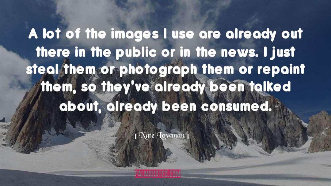 Nate Lowman Quotes: A lot of the images
