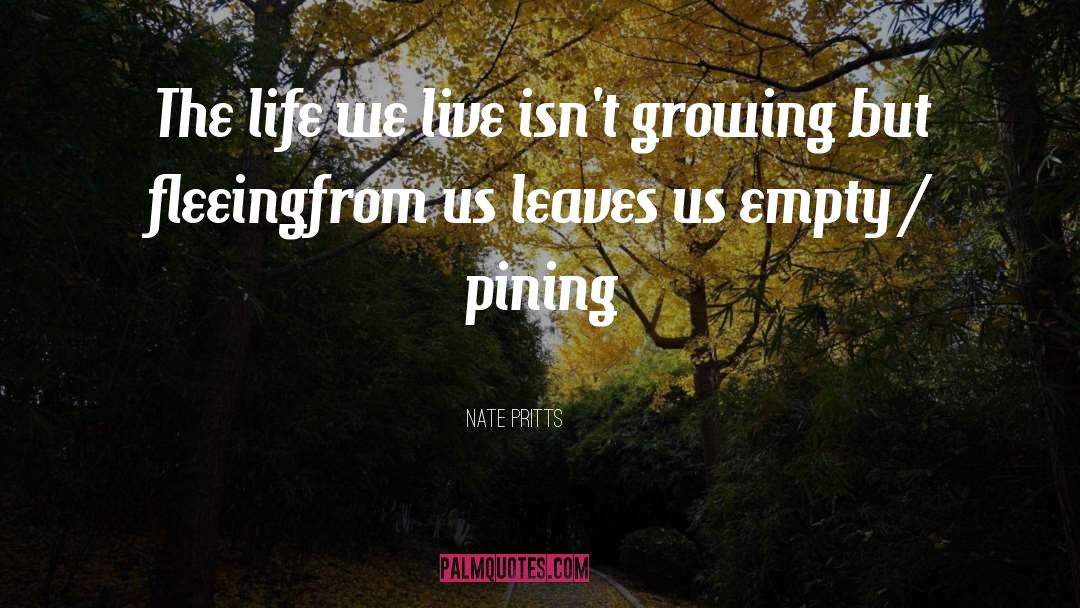 Nate Pritts Quotes: The life we live isn't