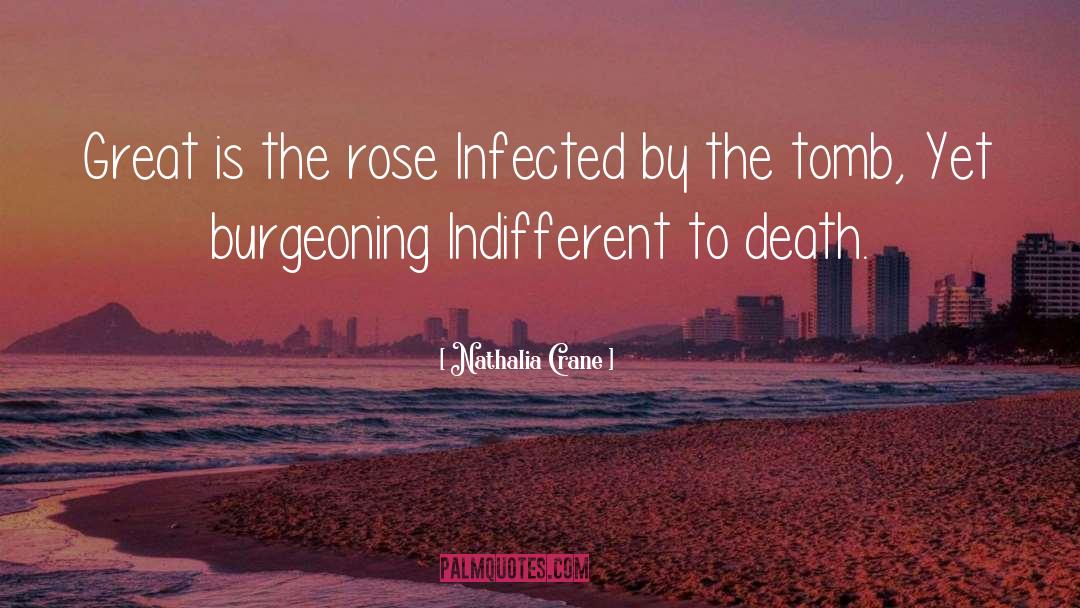 Nathalia Crane Quotes: Great is the rose Infected