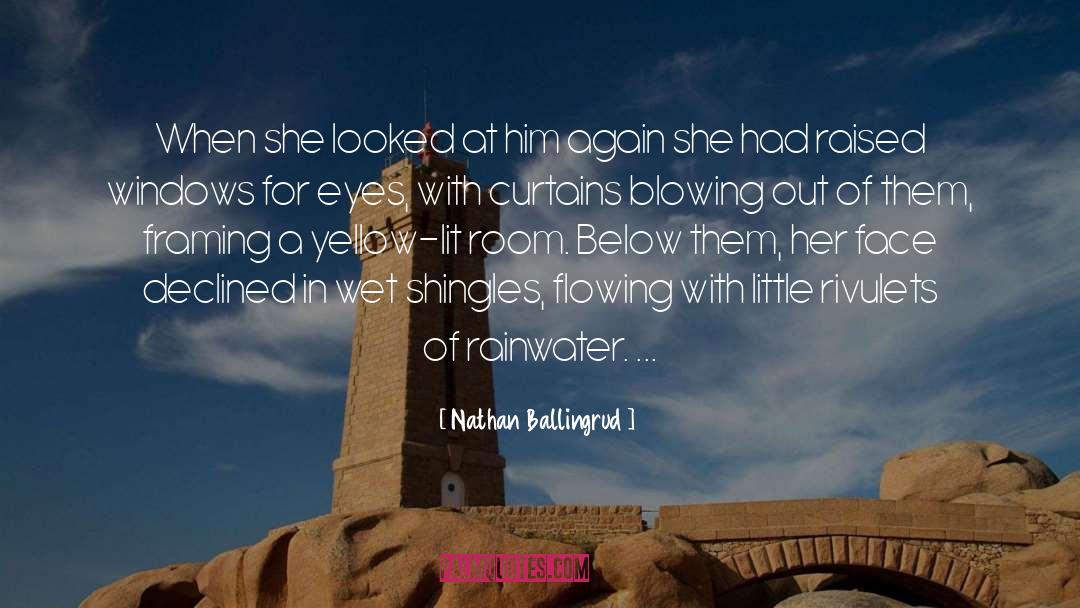 Nathan Ballingrud Quotes: When she looked at him