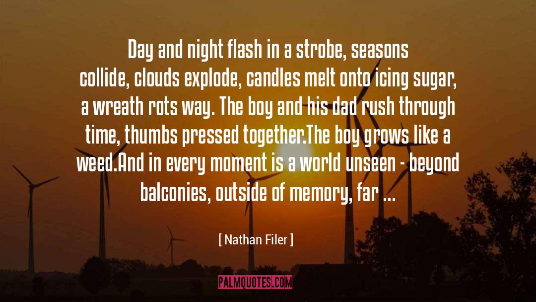 Nathan Filer Quotes: Day and night flash in