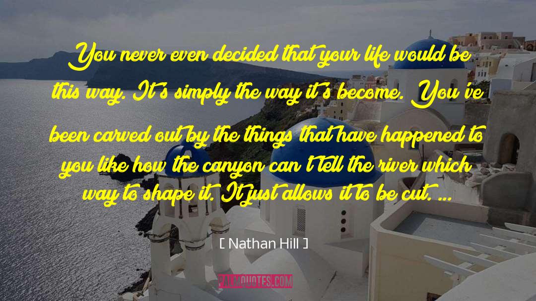 Nathan Hill Quotes: You never even decided that