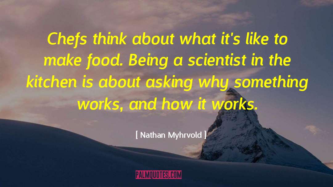 Nathan Myhrvold Quotes: Chefs think about what it's