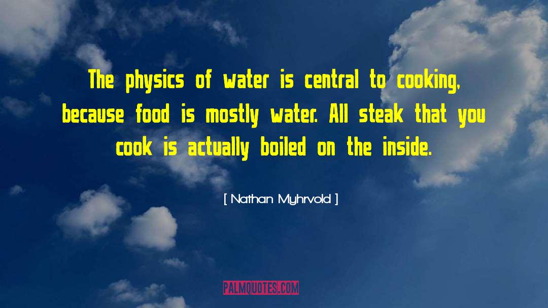 Nathan Myhrvold Quotes: The physics of water is