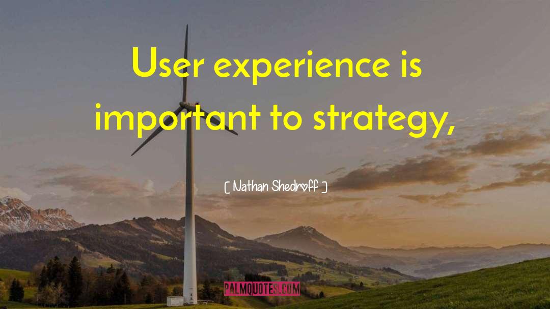 Nathan Shedroff Quotes: User experience is important to