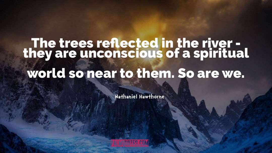 Nathaniel Hawthorne Quotes: The trees reflected in the