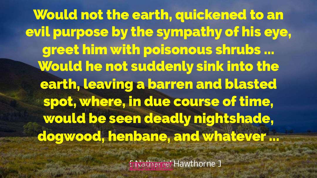 Nathaniel Hawthorne Quotes: Would not the earth, quickened