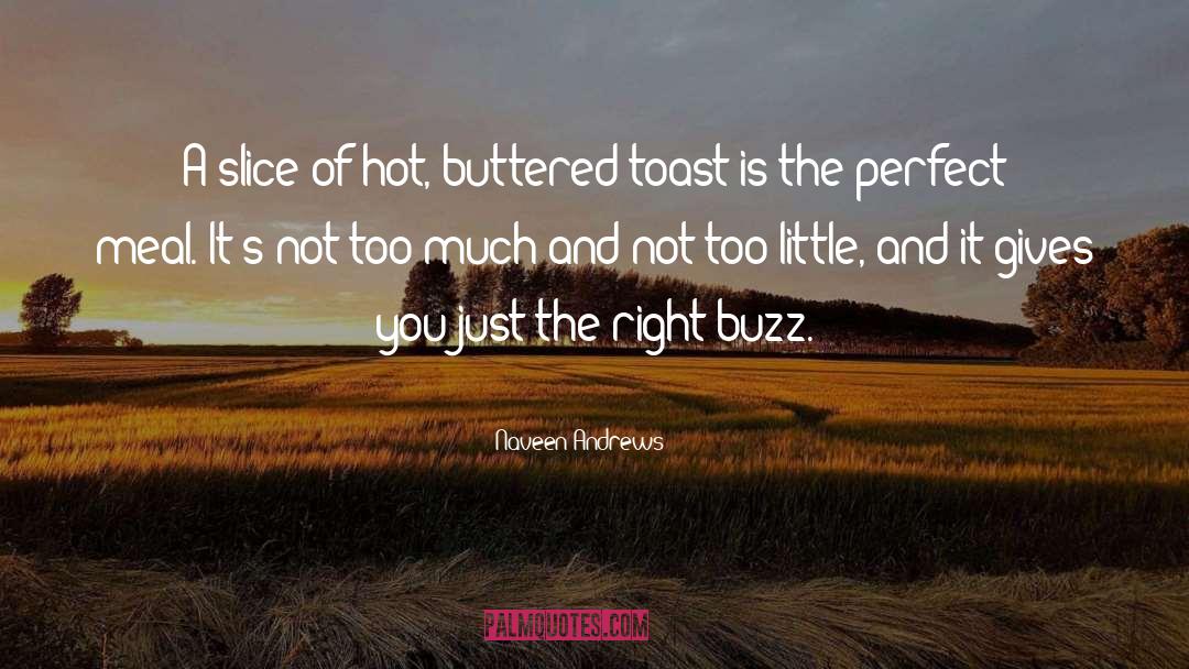 Naveen Andrews Quotes: A slice of hot, buttered
