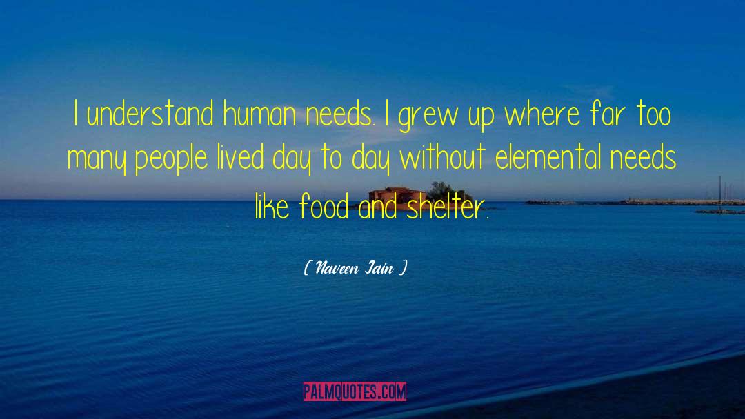 Naveen Jain Quotes: I understand human needs. I