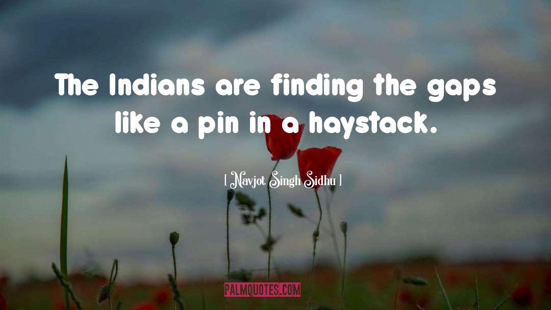 Navjot Singh Sidhu Quotes: The Indians are finding the