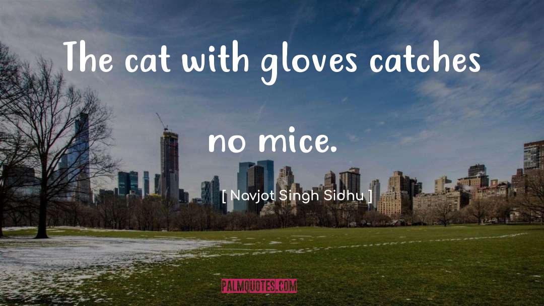 Navjot Singh Sidhu Quotes: The cat with gloves catches