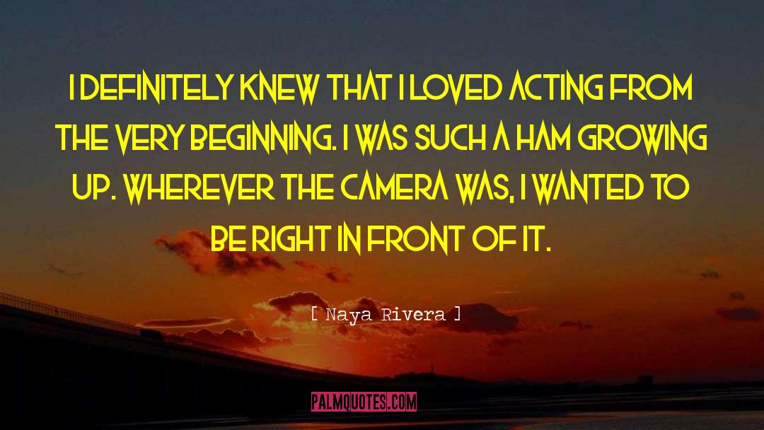 Naya Rivera Quotes: I definitely knew that I