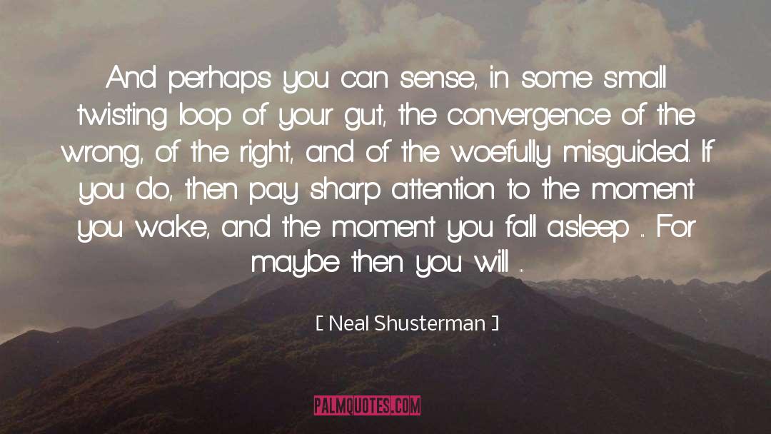 Neal Shusterman Quotes: And perhaps you can sense,