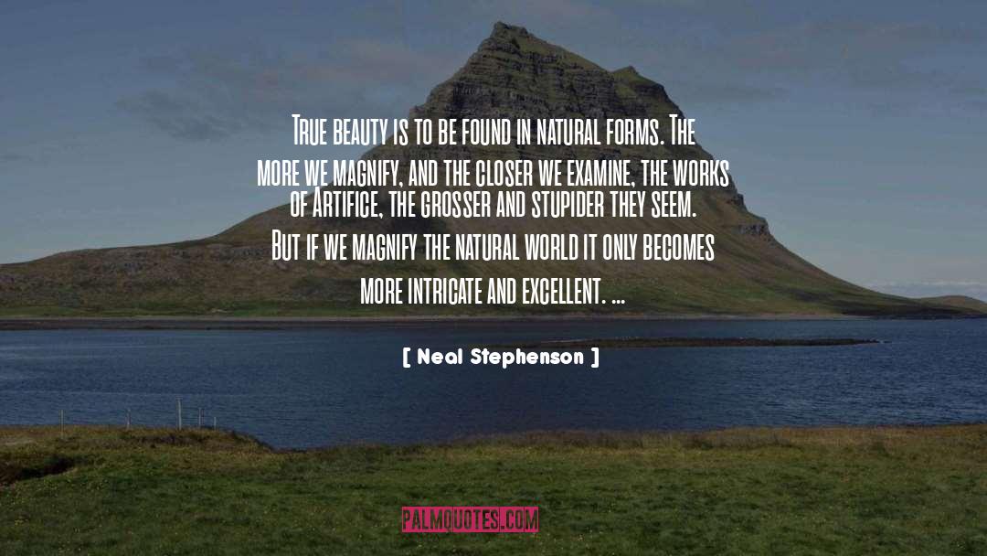 Neal Stephenson Quotes: True beauty is to be