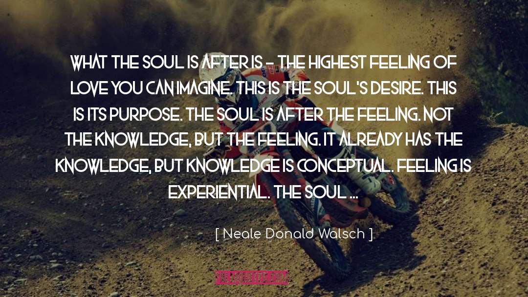 Neale Donald Walsch Quotes: What the soul is after
