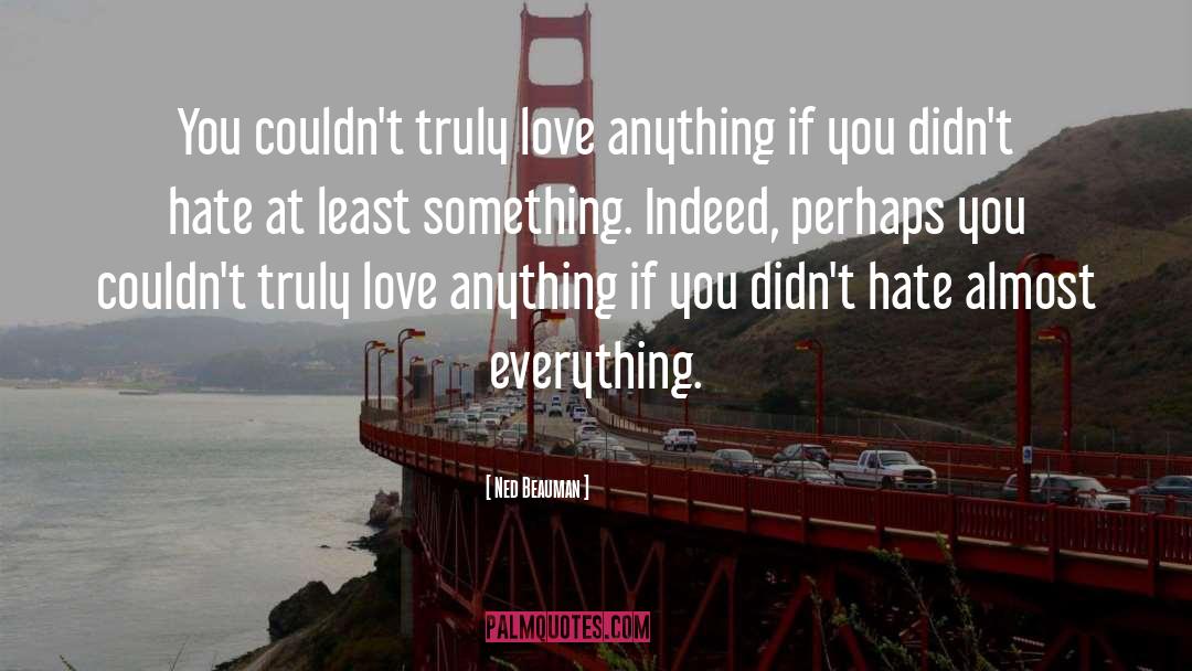 Ned Beauman Quotes: You couldn't truly love anything