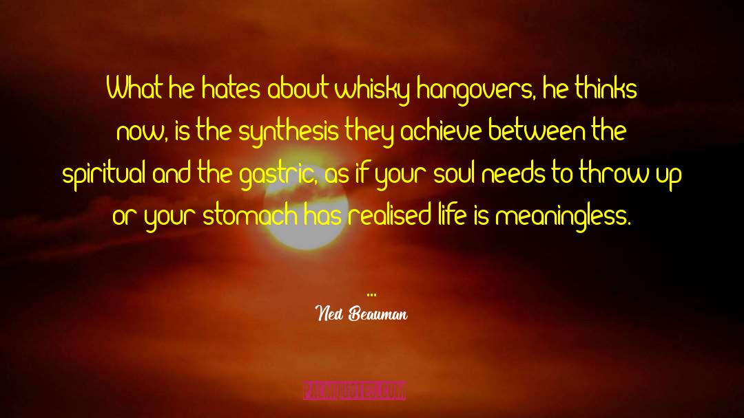 Ned Beauman Quotes: What he hates about whisky