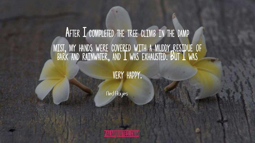 Ned Hayes Quotes: After I completed the tree