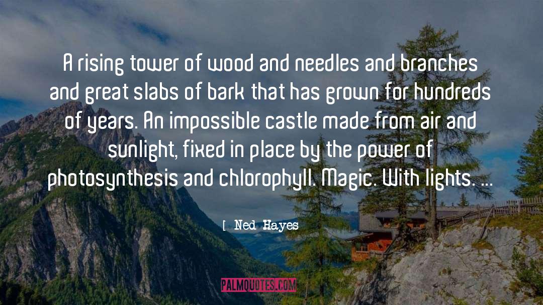 Ned Hayes Quotes: A rising tower of wood