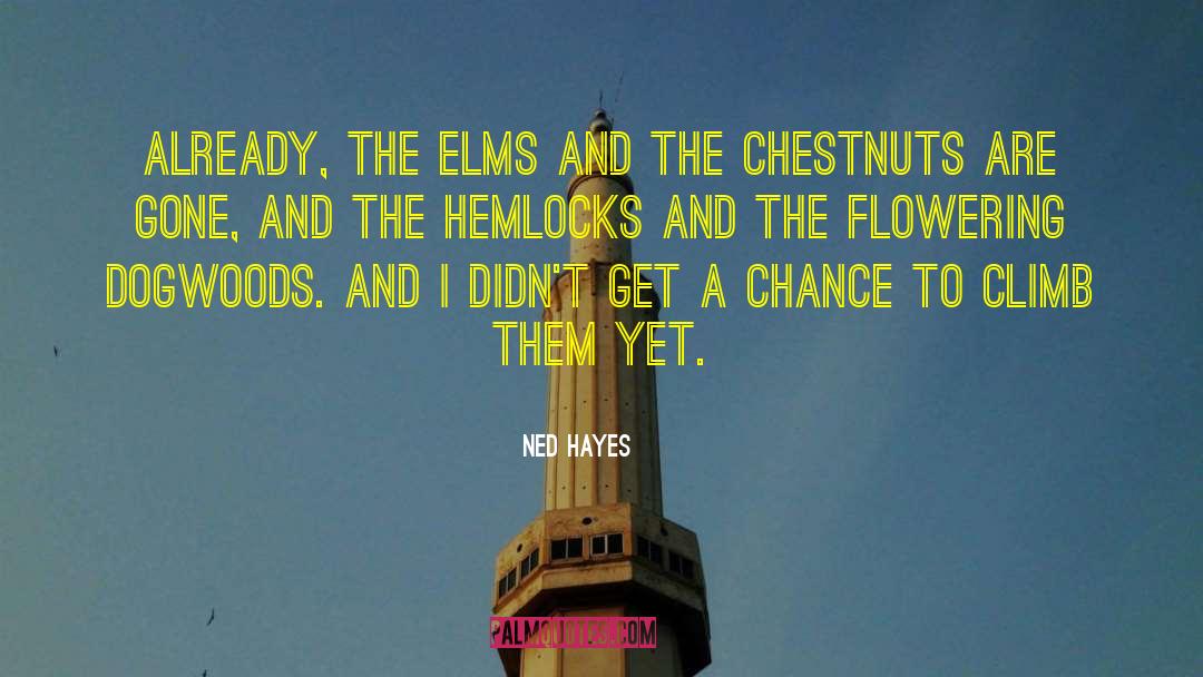 Ned Hayes Quotes: Already, the Elms and the