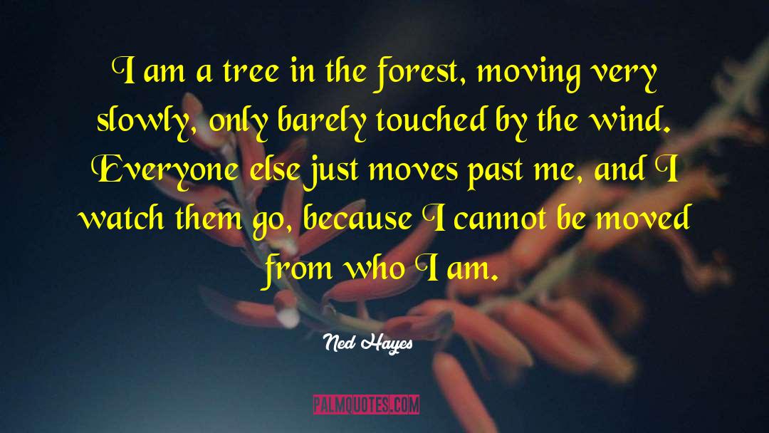 Ned Hayes Quotes: I am a tree in