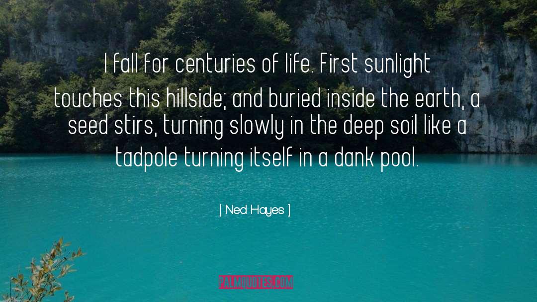 Ned Hayes Quotes: I fall for centuries of