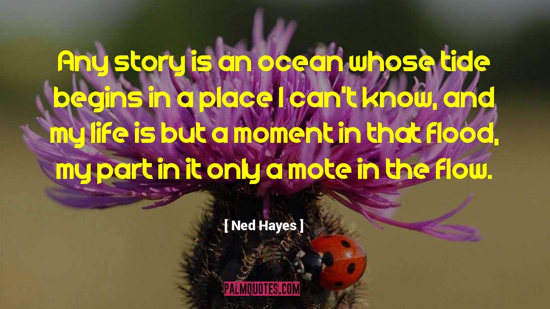 Ned Hayes Quotes: Any story is an ocean