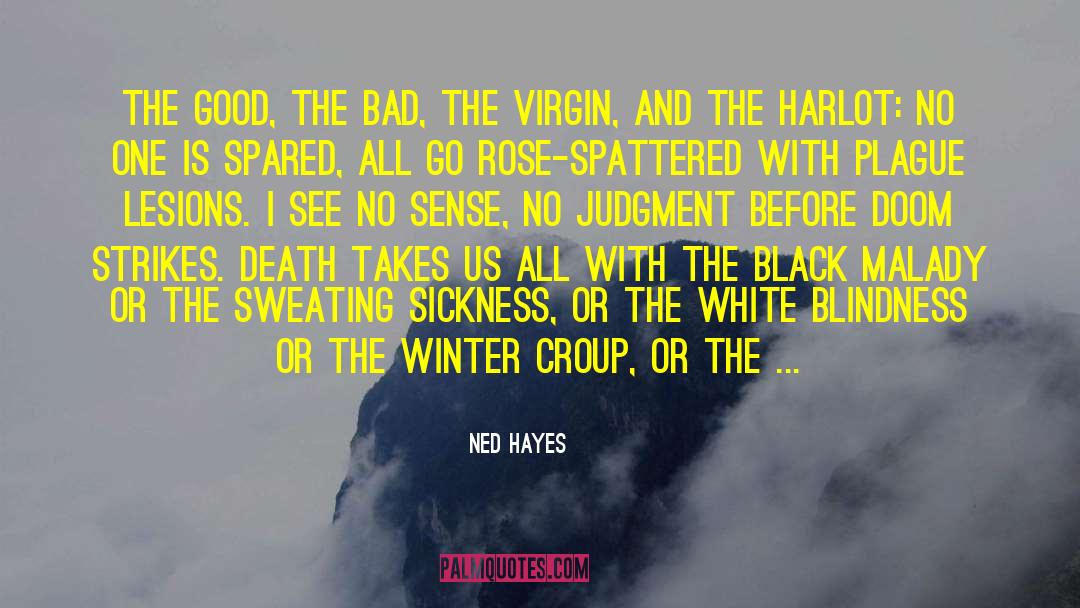 Ned Hayes Quotes: The good, the bad, the