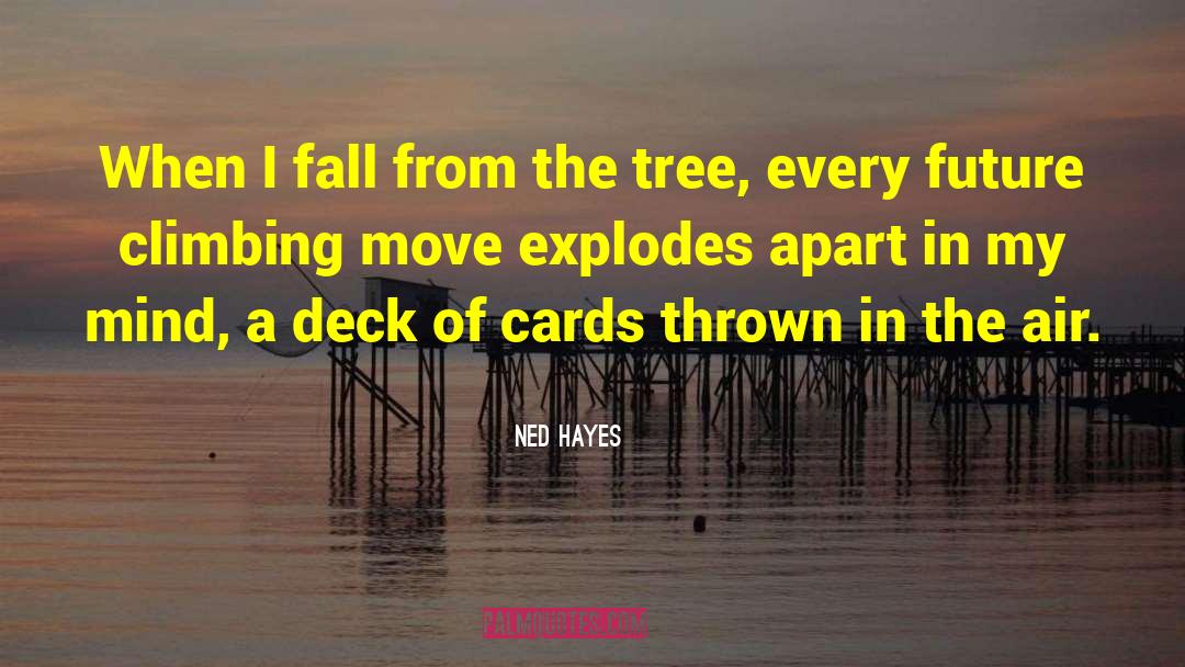 Ned Hayes Quotes: When I fall from the