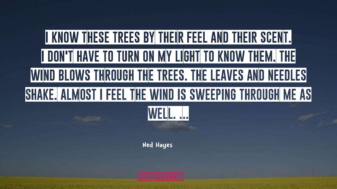 Ned Hayes Quotes: I know these trees by