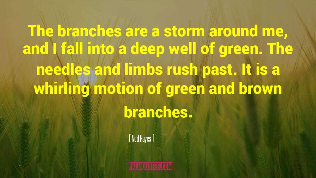 Ned Hayes Quotes: The branches are a storm