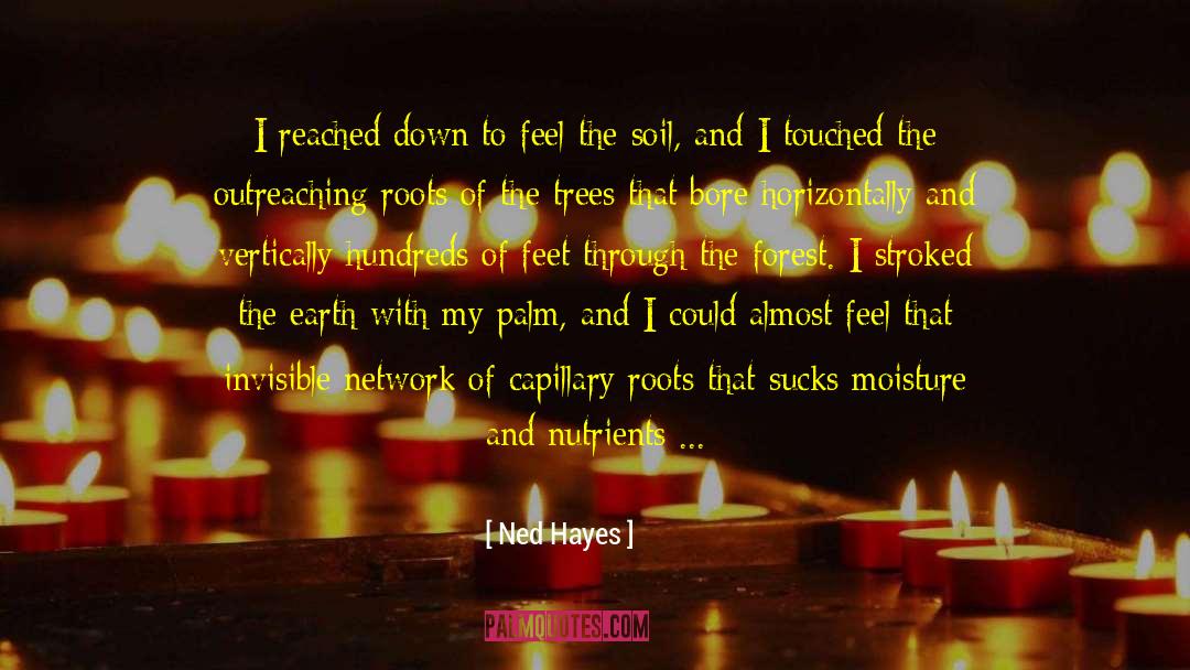 Ned Hayes Quotes: I reached down to feel