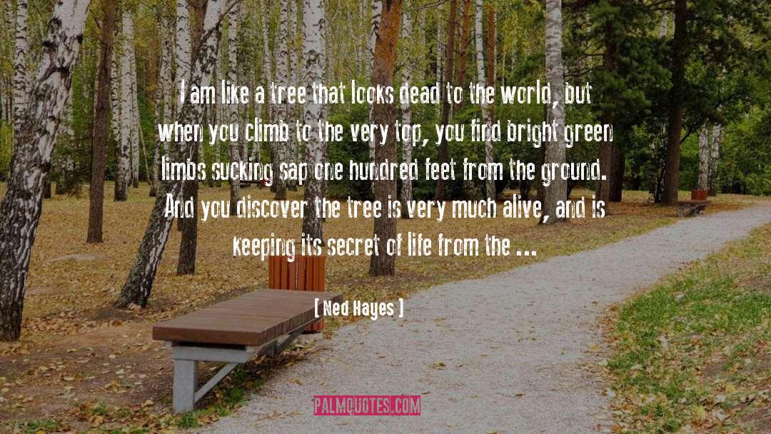 Ned Hayes Quotes: I am like a tree