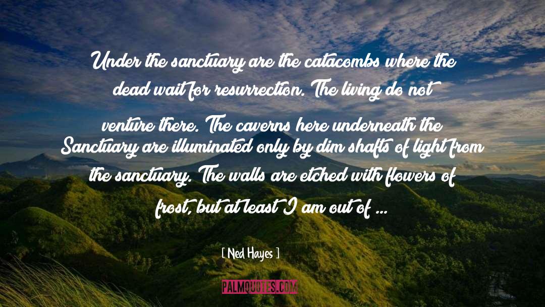 Ned Hayes Quotes: Under the sanctuary are the