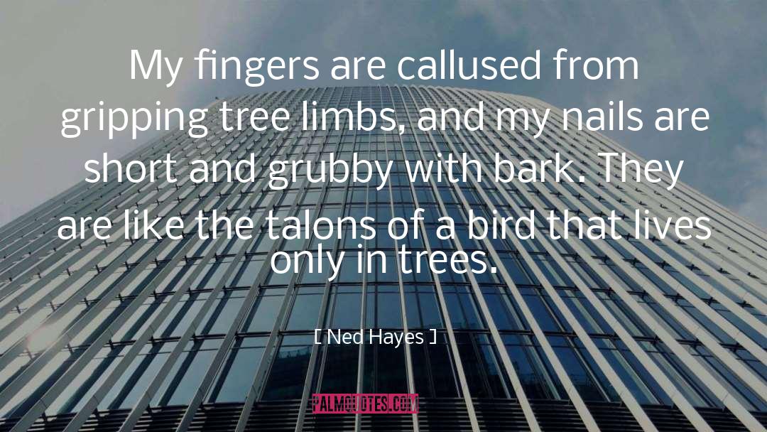 Ned Hayes Quotes: My fingers are callused from