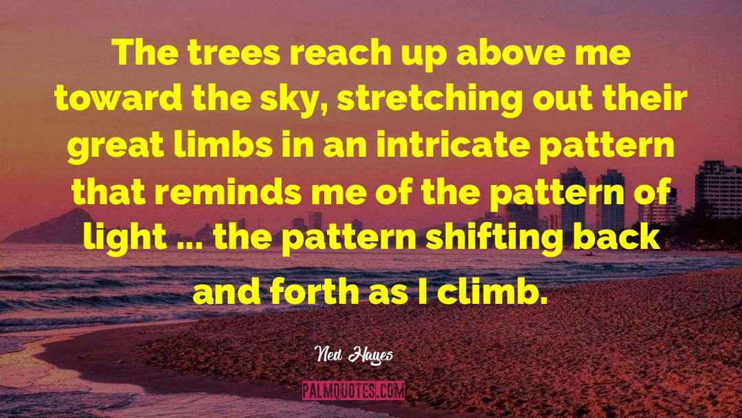 Ned Hayes Quotes: The trees reach up above