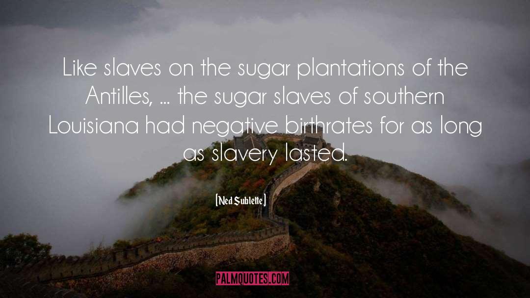 Ned Sublette Quotes: Like slaves on the sugar