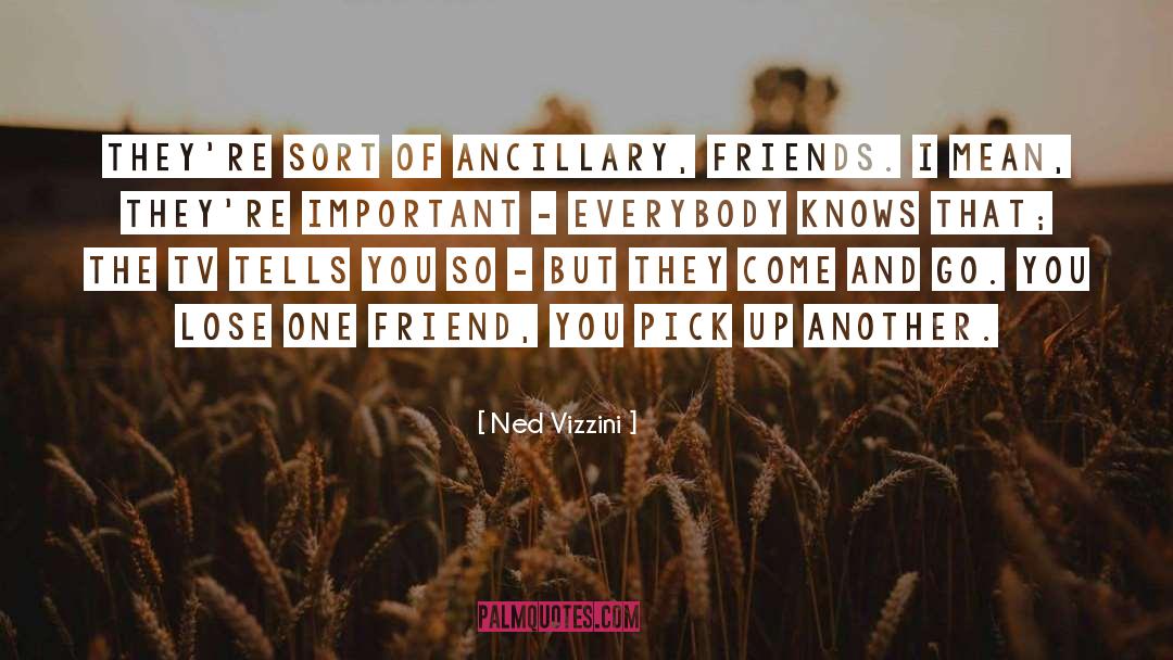 Ned Vizzini Quotes: They're sort of ancillary, friends.