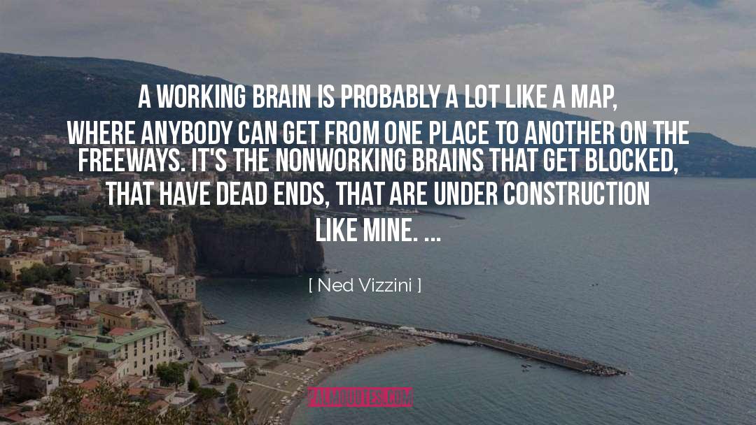 Ned Vizzini Quotes: A working brain is probably