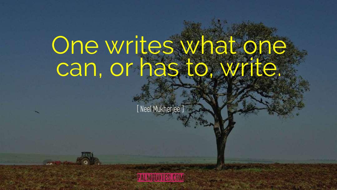Neel Mukherjee Quotes: One writes what one can,