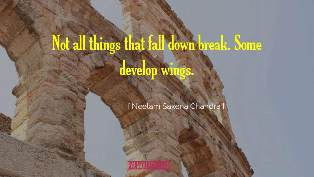 Neelam Saxena Chandra Quotes: Not all things that fall